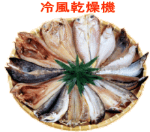 冷風乾燥機